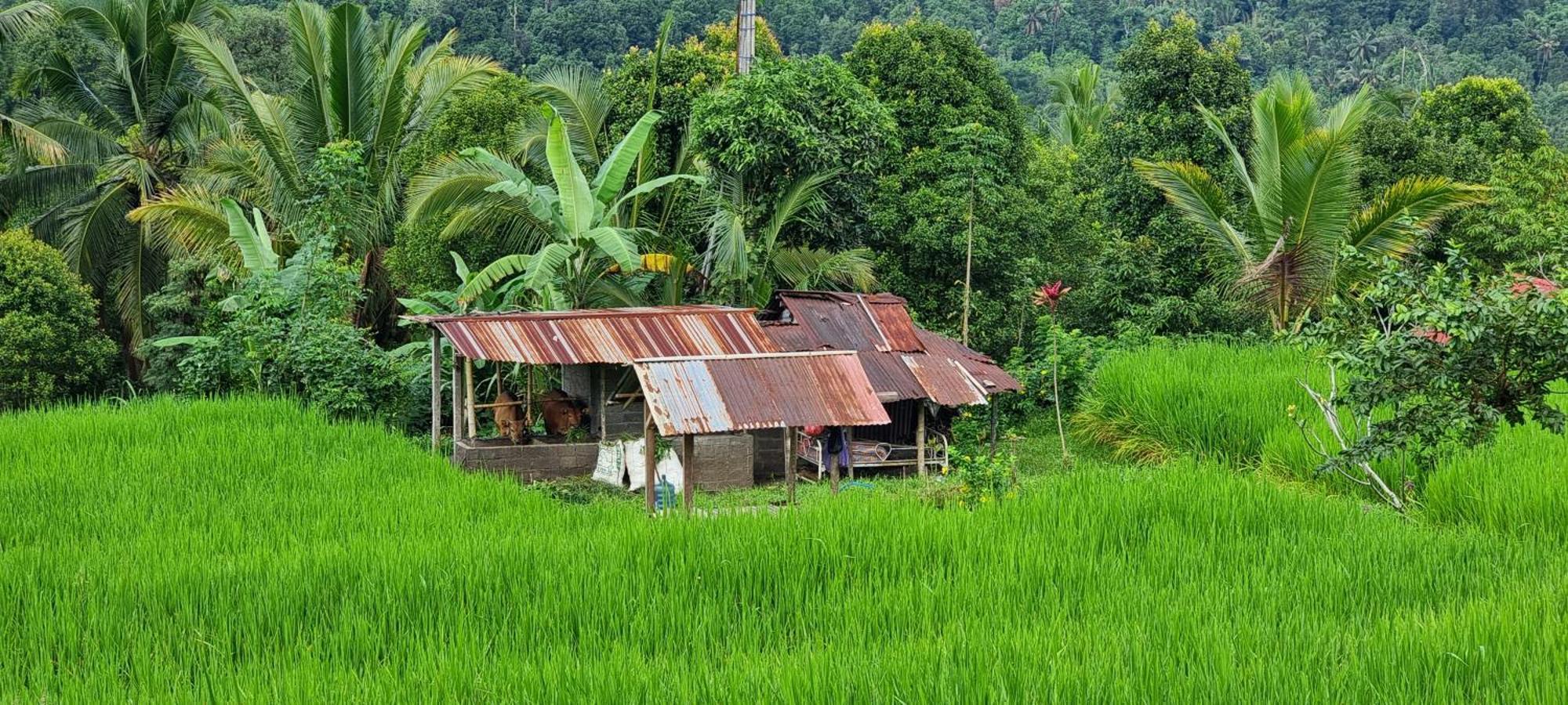 Utopiaku - Munduk Highlands别墅 外观 照片
