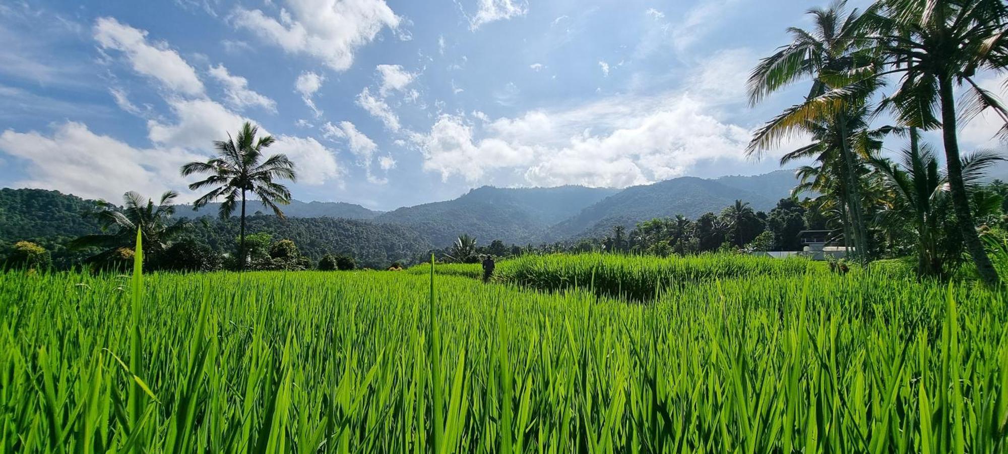 Utopiaku - Munduk Highlands别墅 外观 照片