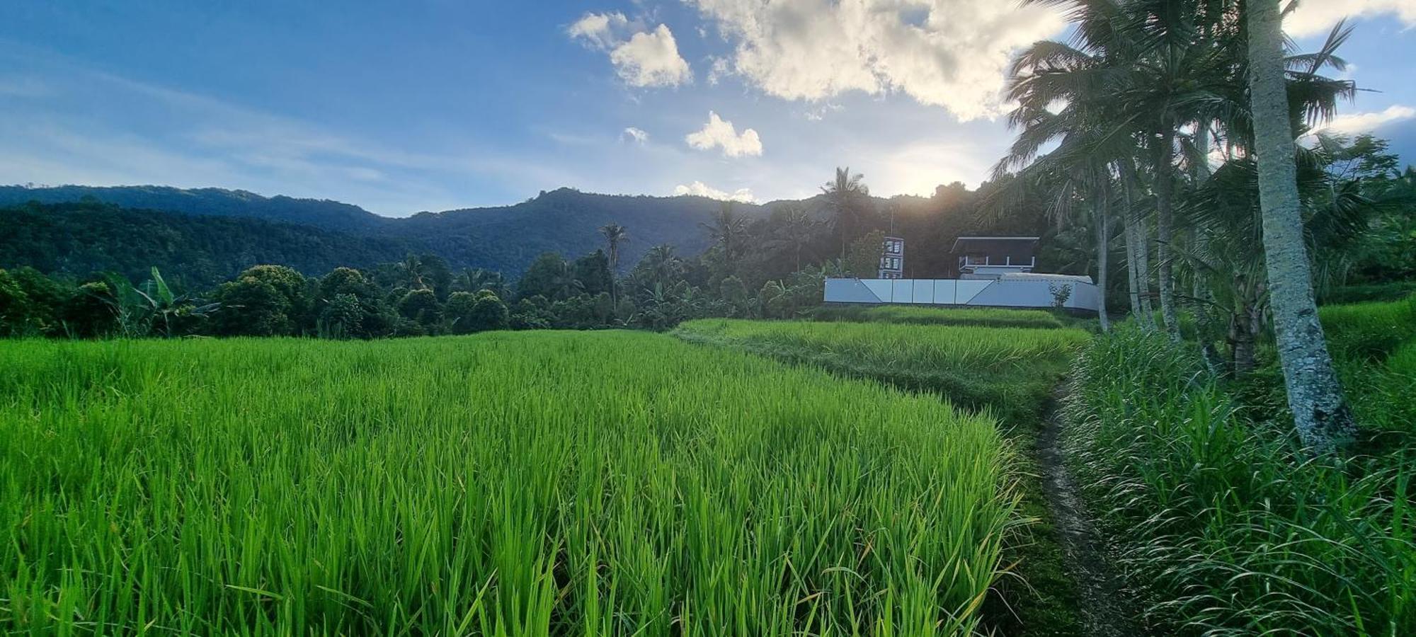 Utopiaku - Munduk Highlands别墅 外观 照片